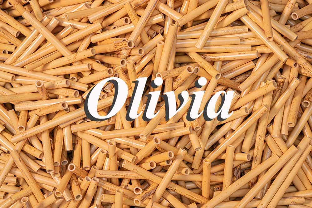 Olivia Oboe Tube Cane