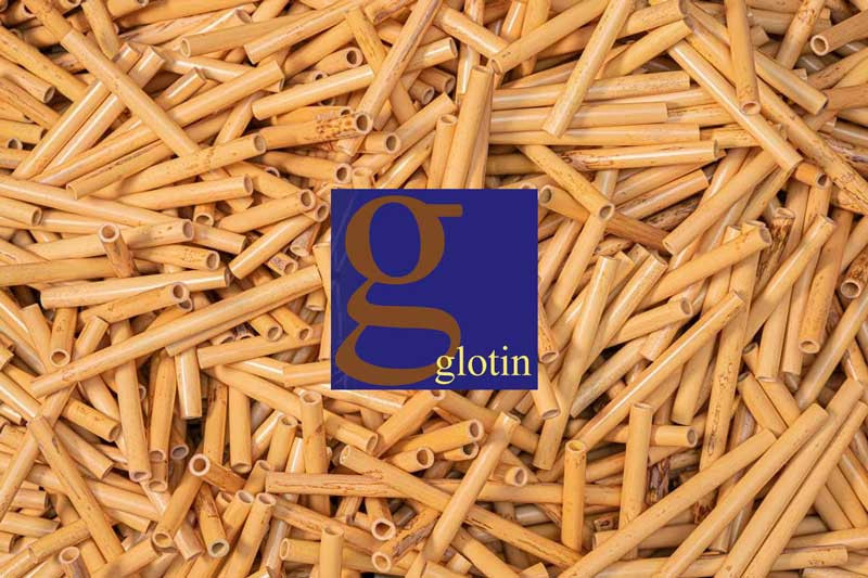 Glotin Oboe d'amore Tube Cane