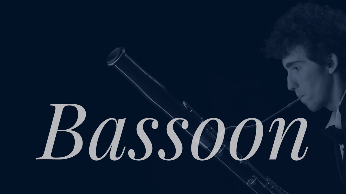 Bassoon Category