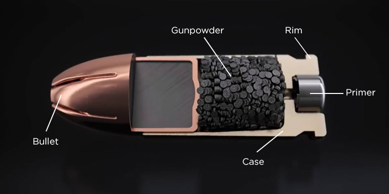Rifle And Pistol Round Anatomy