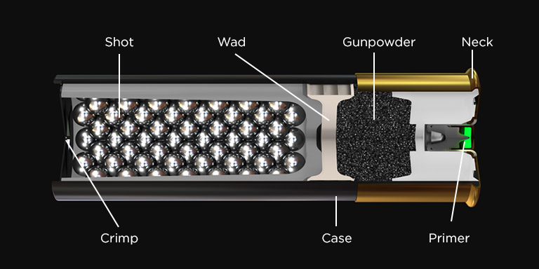 Shotgun Round Anatomy