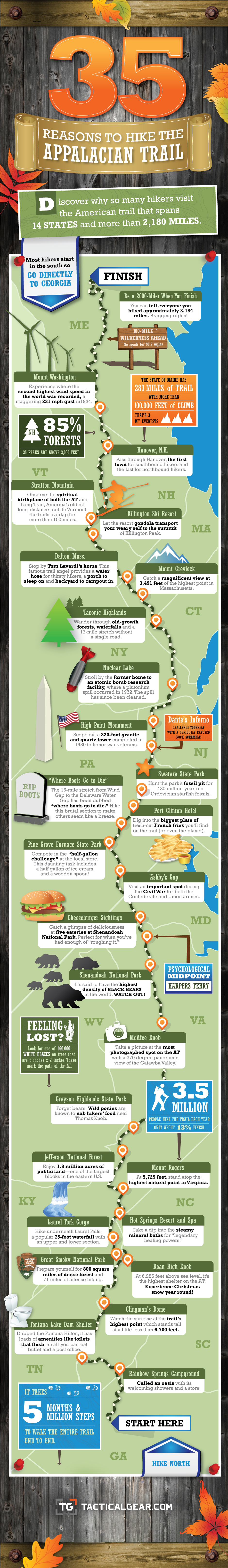 Infographic Full
