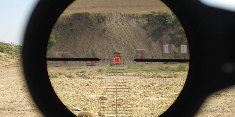 Sight Picture