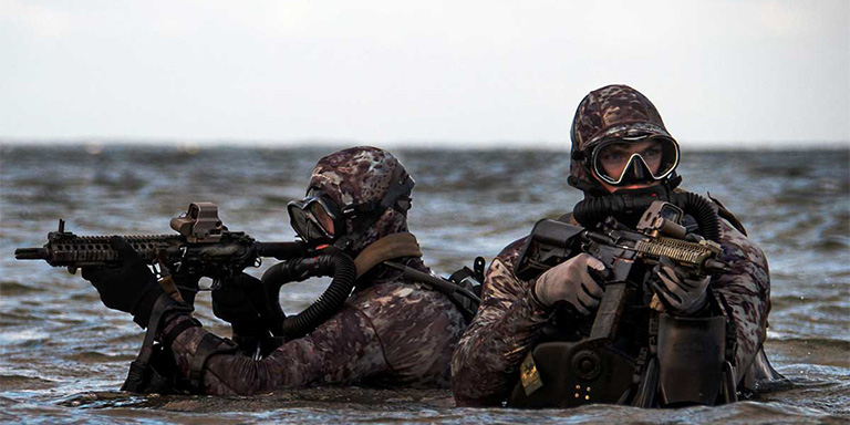 Seals