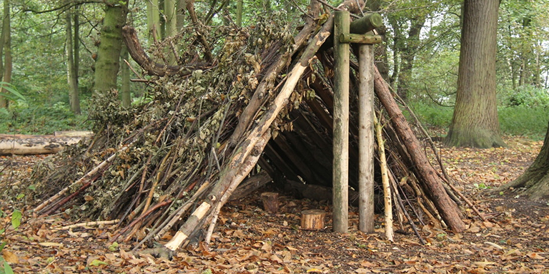 How To Find Or Build Basic Shelter
