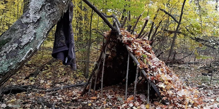 Leaf Hut
