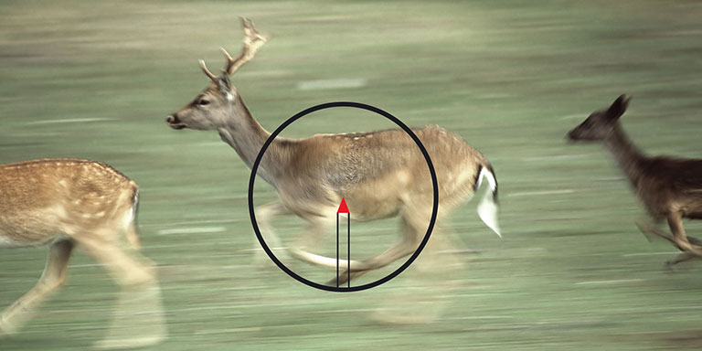 Tracking