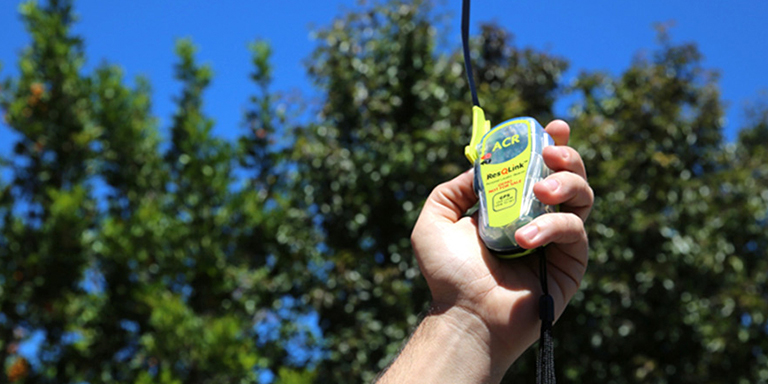 Radio Phone And Locator Beacons