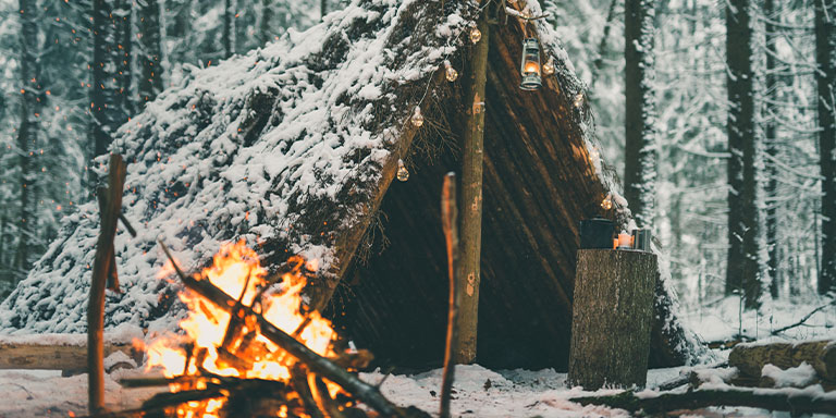 Learn To Find And Build Basic Shelter