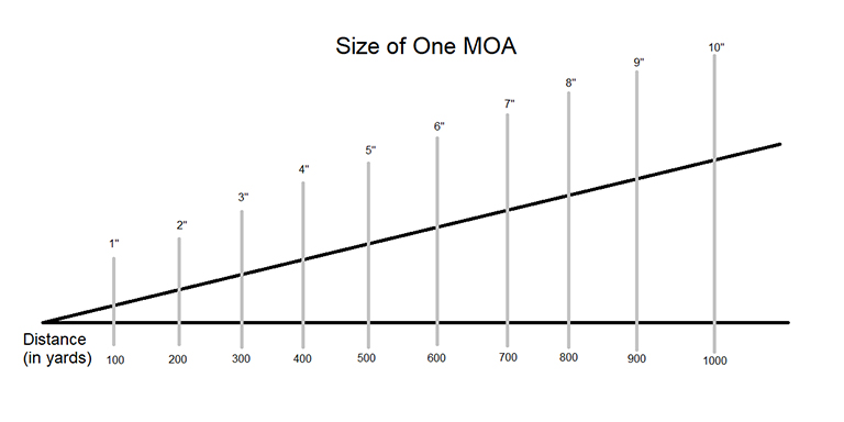 Size Of One Moa