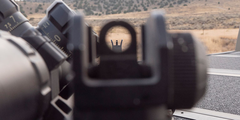 Iron Sights
