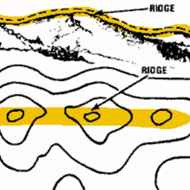 Ridges C
