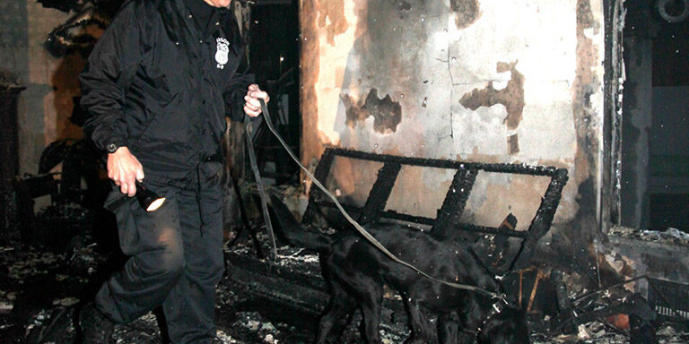 Searching For Arsonists