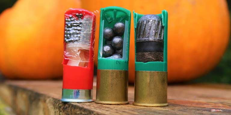 Shotgun Shells