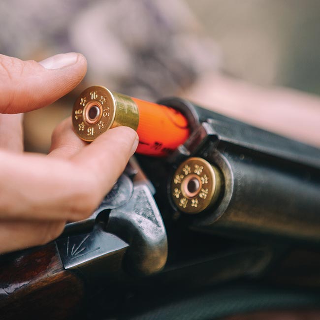 Shotguns