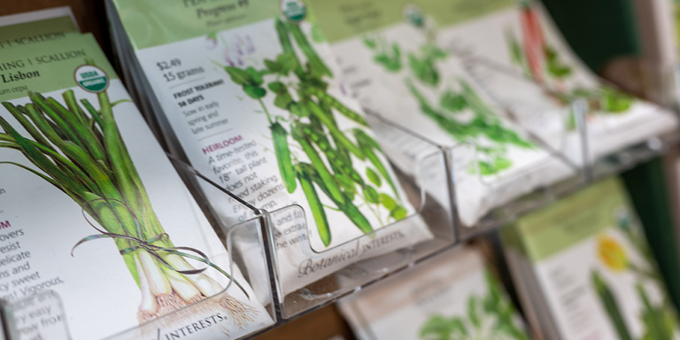 Fast Growing Herb And Vegetable Seeds