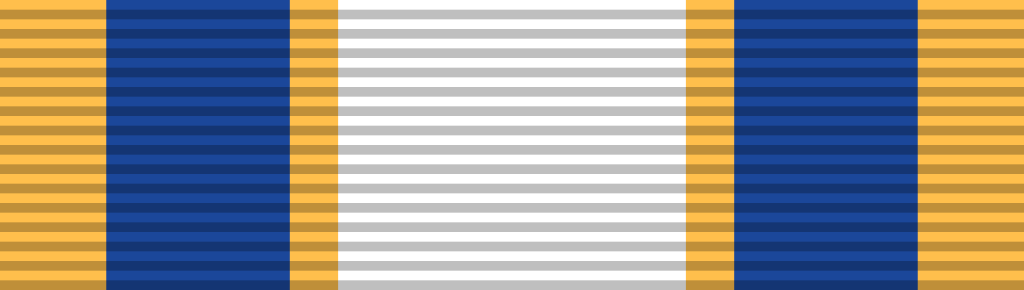 10 Air Force Distinguished Service Medal
