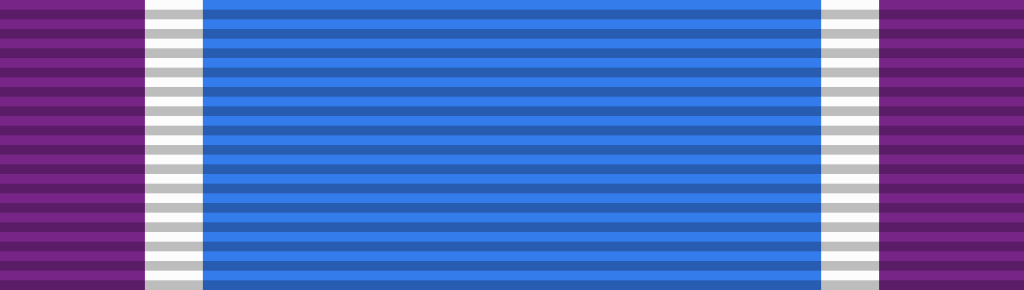 11 Coast Guard Distinguished Service Medal