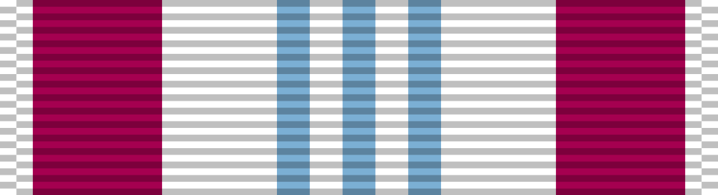 22 Defense Meritorious Service Medal