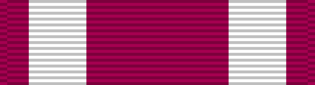 23 Meritorious Service Medal