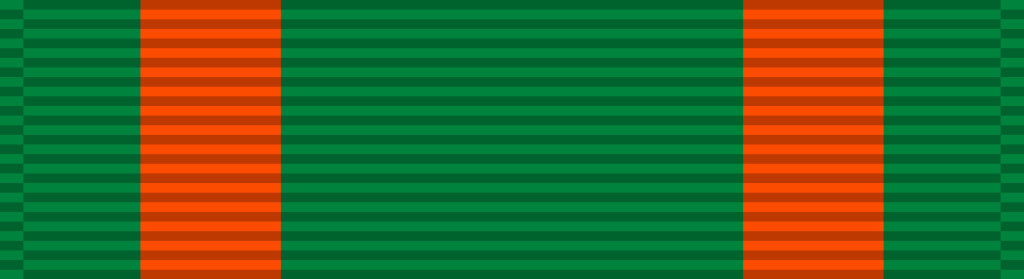 33 Navy And Marine Corps Achievement Medal