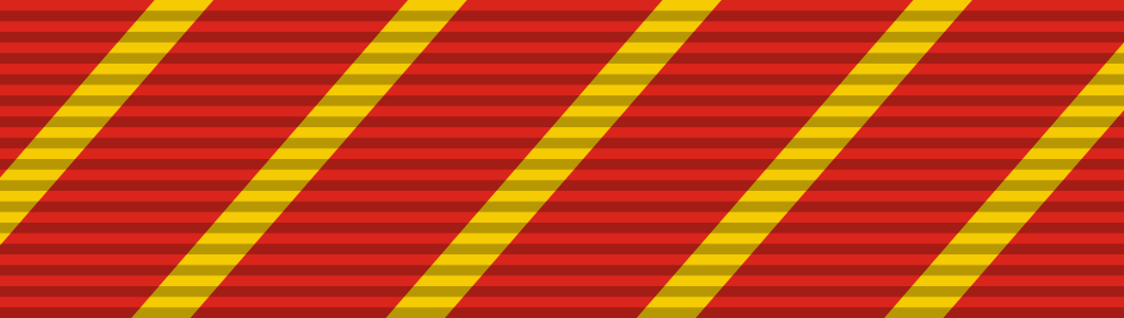 38 Air Force Combat Action Medal
