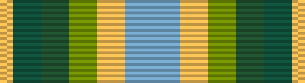 78 Armed Forces Service Medal