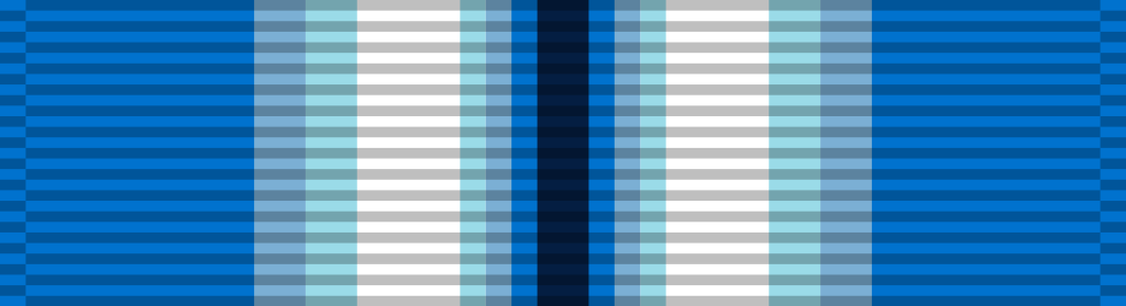 95 Navy Arctic Service Ribbon