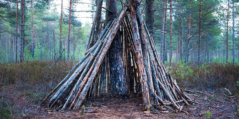 Finding And Building Shelter