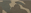 FRED BEAR CAMO