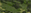 TROPIC MULTICAM