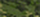 MULTICAM TROPIC