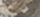 REALTREE APX