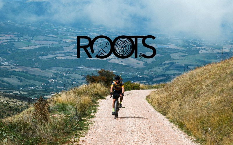Roots 2024
