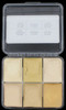 PPI Skin Illustrator Hair Warm Blonde Palette