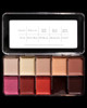PPI Skin Illustrator Polychrome Palette