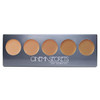 Cinema Secrets Ultimate Foundation 5-In-1 Pro Palette #400