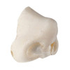 Kryolan Foam Nose K4