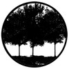 Tree Silhouette 1 - Rosco Gobo #78431
