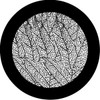 Leaf Veins - Rosco Gobo #78597
