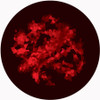 Seeing Red - Apollo Glass Gobo #C2-0147