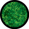 Trees  Far - Apollo Glass Gobo #C3-0096