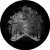 Winter Lane - Apollo Glass Gobo #SR-1042