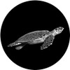 Swimming Turtle - Apollo Glass Gobo #SR-6064