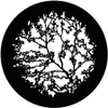 Open Branch - GAM Gobo #520