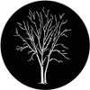 Winter Trees A - GAM Gobo #527.