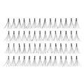 Ardell Professional Knot Free Flare Long lashes (out of packaging). Sold by Norcostco.