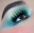 ESUM Artistry Pigment Palette No4 Elevate