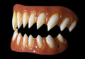 Dental Distortions Gaul FX Fangs 2.0 (out of packaging). Sold by Norcostco.