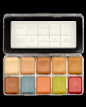 PPI Skin Illustrator Replaceable Cell Flesh Tone Palette